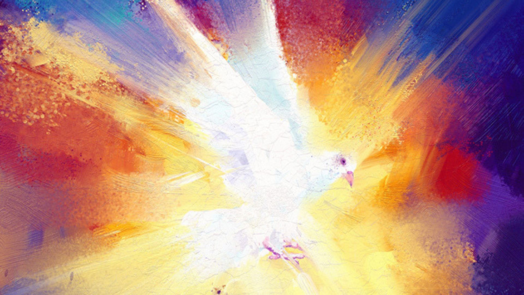 Taube als Heiliger Geist auf farbigem Hintergrund
